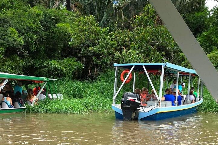 Boat Tour in Palo Verde River | Near Nicoya - Photo 1 of 7